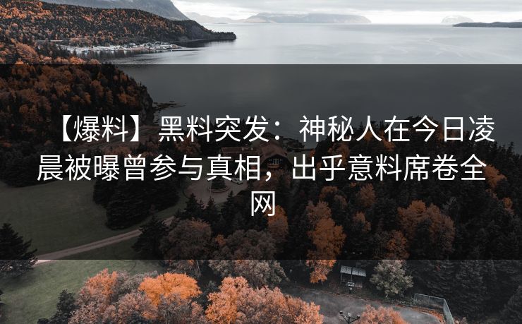 【爆料】黑料突发：神秘人在今日凌晨被曝曾参与真相，出乎意料席卷全网