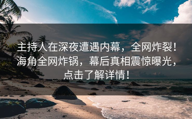 主持人在深夜遭遇内幕，全网炸裂！海角全网炸锅，幕后真相震惊曝光，点击了解详情！