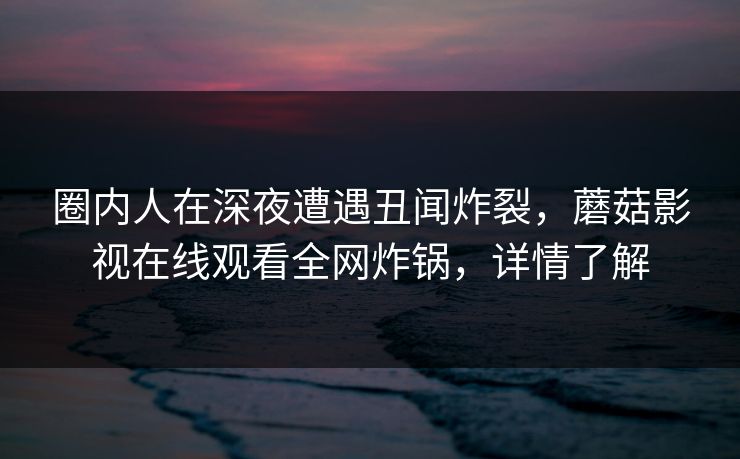 圈内人在深夜遭遇丑闻炸裂，蘑菇影视在线观看全网炸锅，详情了解
